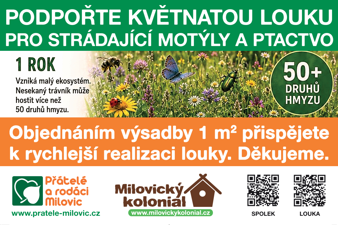 Květnatá louka