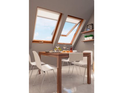 Kyvné plastové okno FAKRO PTP-V / GO U4 (Rozměry oken 01 55x78 cm)