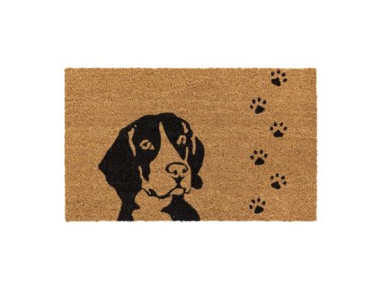 bda1be41d67b04834701c5a7328732c0