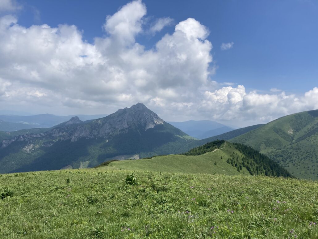 IMG-6376-1030x773
