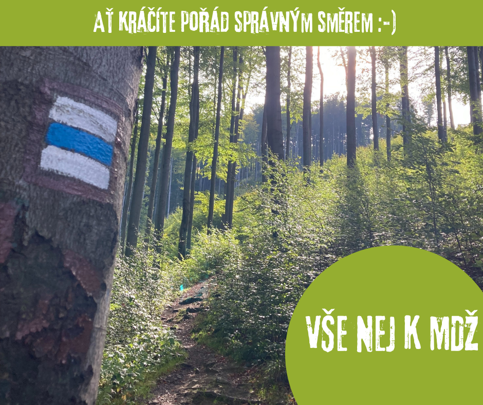Vše-Nej-k-MDŹ