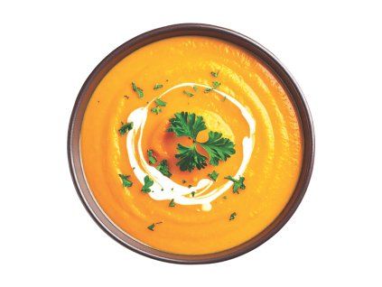 dynova polevka lyofilizovana talir