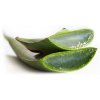 aloe vera list