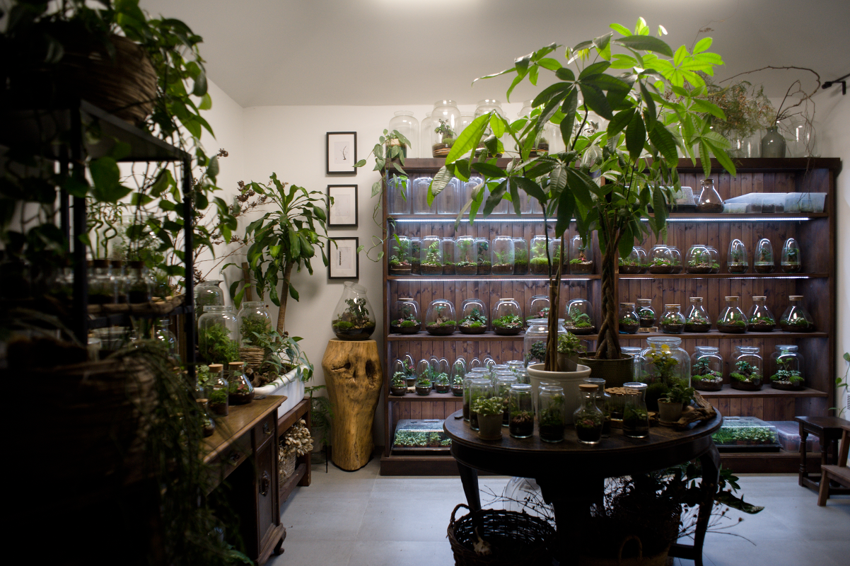 Akce? Sleva? Výprodej?