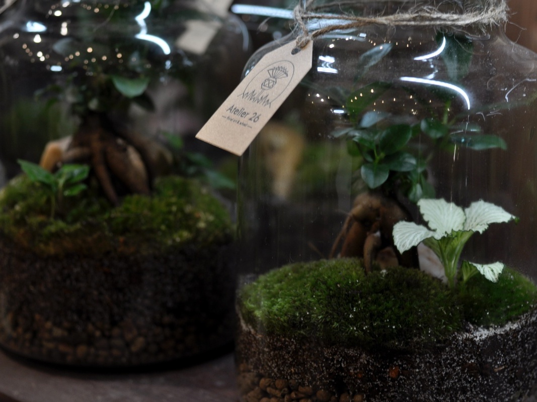 Měním (svůj) svět