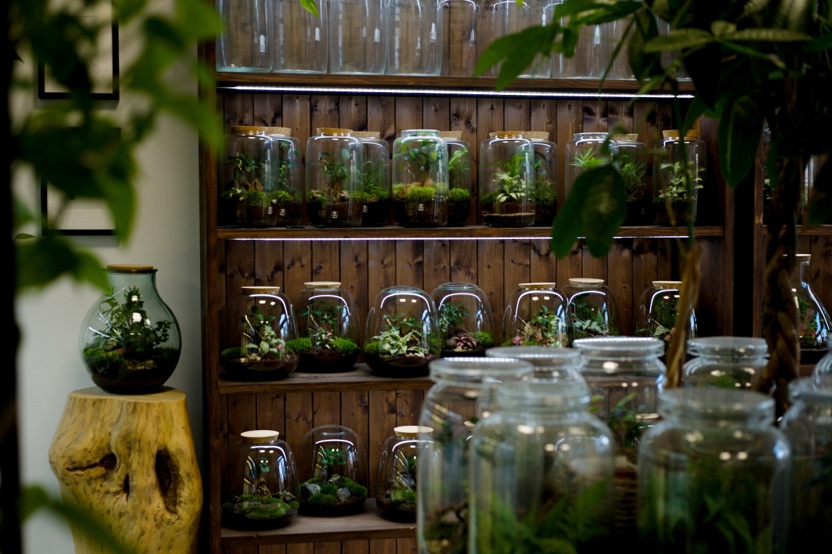 Měním (svůj) svět