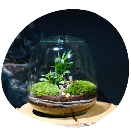 Mechárium Terrigena mini 2025