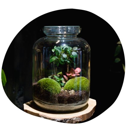 Mechárium Pulchra Milujeme mech 2025