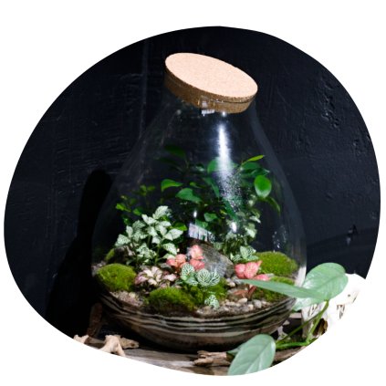 Milujeme mech mechárium Gaia 2025