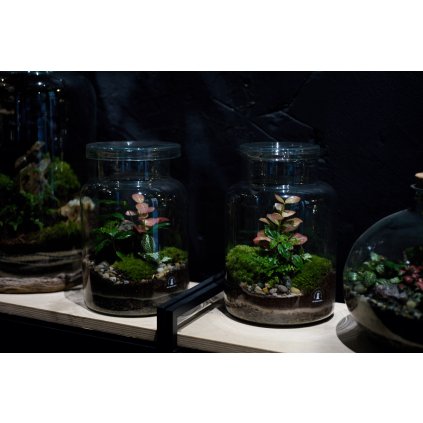 Mechárium Viridis 26 Milujeme mech