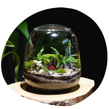 Mechárium Terrigena mini Hobit 2025