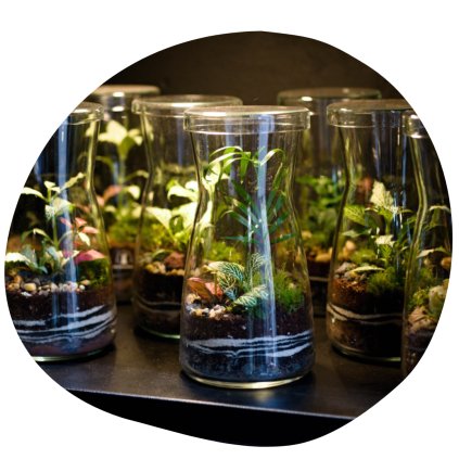 Milujeme mech mechárium Delicata 2025