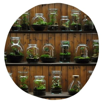 Dárkový poukaz Milujeme mech