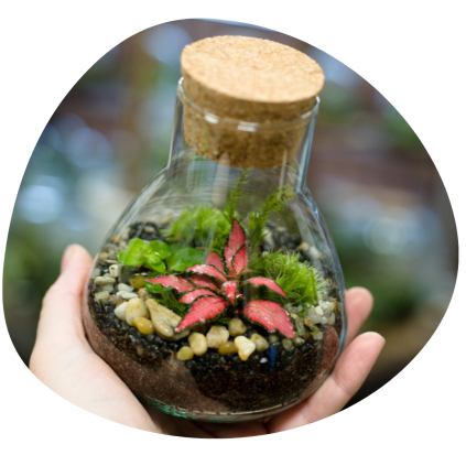 Les v dlani Ochutnávkový miniworkshop Milujeme mech