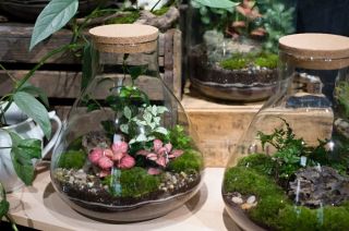 Můžu se vás na něco zeptat? Jak to mám já už jistě víte... Ale co vy? Jste tábor Džungle plná barev nebo Minimalistická...