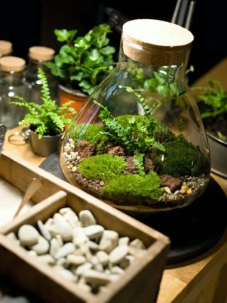 Milujete přírodu a magii? Tak zavítejte na můj Zážitek v mechu a kapradí 🌿 Budete mít příležitost nejen nahlédnout do mé...