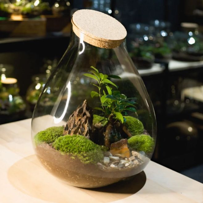 𝕲𝖆𝖎𝖆 ZEN • bohyně mého mechového ráje, nejimpozantnější monumentální svět, mechová krajina, již vévodí vzrostlý strom...