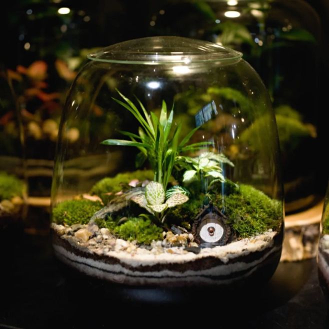 Tahle pohádková mechová krajina s hobitími dvířky už má svého majitele. Pokud i vy toužíte po vlastním málem kouzelném...