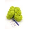Worsted Applegreen
