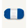 11146046 ElectricBlue 300dpi Noste