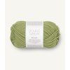 11149533 Green Tea 300dpi Noste