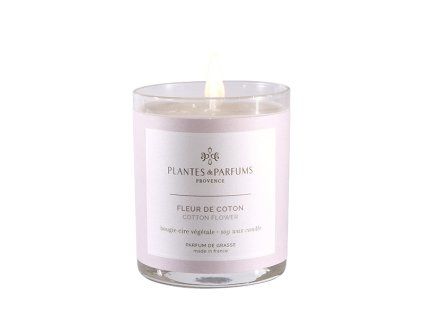 A219 77436 5013bf6feb