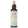 Dr. Bach Rock Water 20 ml