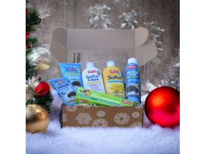 PhotoRoom 20231105 152609