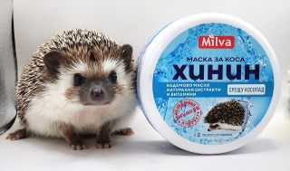 Ježkovia… Nie sú hlasní. Neupozorňujú na seba. Ale keď ich spoznáte bližšie, niečo vo vás zmenia. Majú v sebe pokoj....