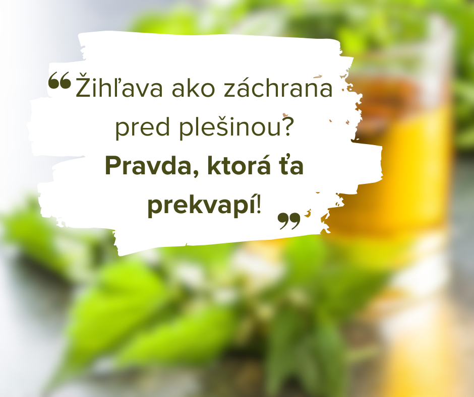 Žihľava ako záchrana pred plešinou? Pravda, ktorá ťa prekvapí!