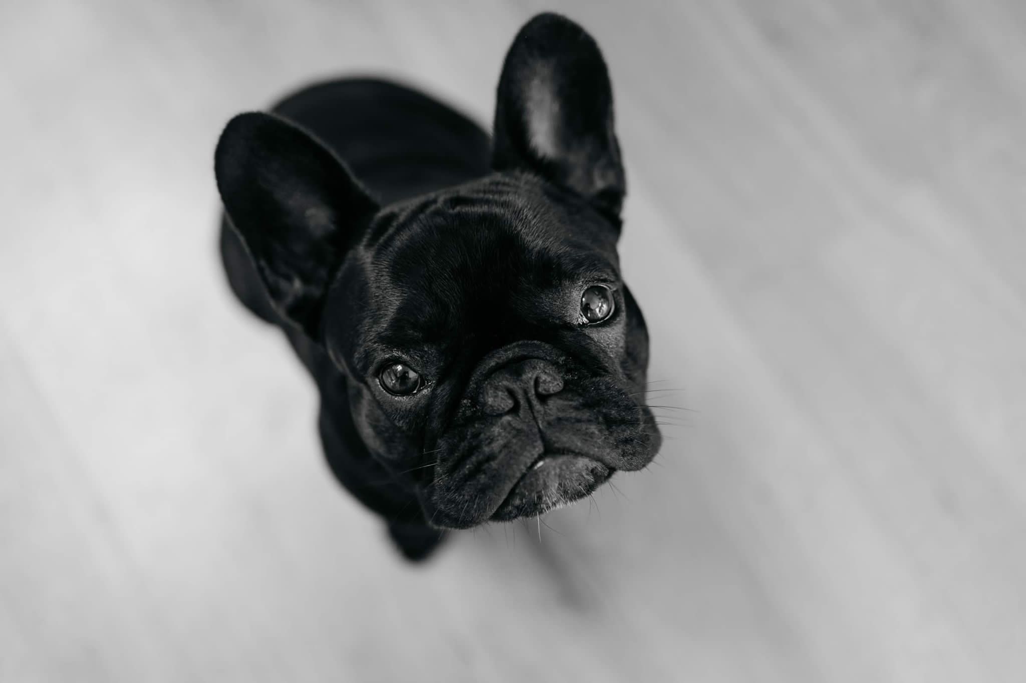 Pravdivé okénko ze šestinedělí s Kristý III.