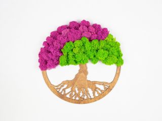 🌳 Machové stromy – ktorý je TEN VÁŠ? 🌿💚 Príroda v interiéri, ktorá nepotrebuje polievanie ani svetlo ✨ Machové stromy sú...