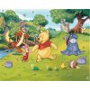 Walltastic  Winnie Pooh 3D tapeta