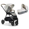 set finiti signature oyster
