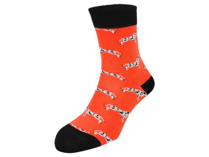 Dressa pamut kutyás zokni - narancssárga (Méret 36-40, Szín Narancssárga)