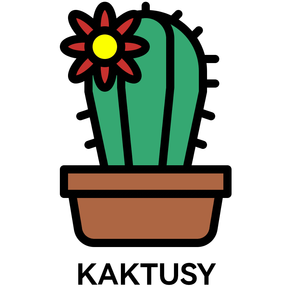 kaktusy