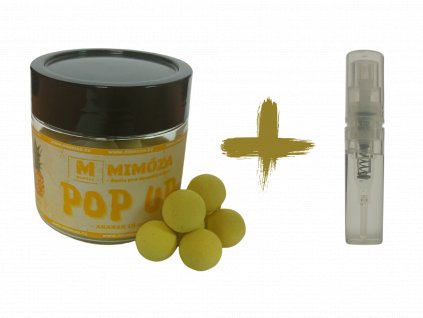 Mimóza Plovoucí boilies Pop up + Esence Ananas 15 mm 50 g