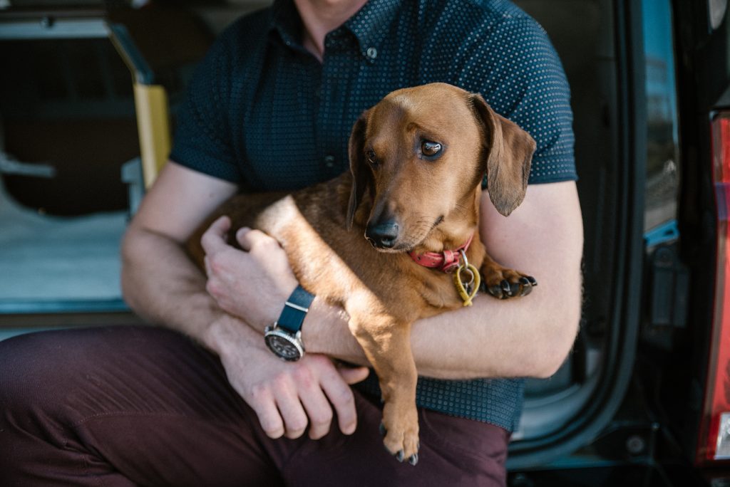 Kinetóza alebo psia nevoľnosť v aute. Ako si s ňou poradiť?