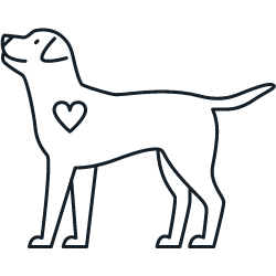 Bezpečnosť pre celú rodinu v aute