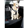 Pes v autě s postrojem