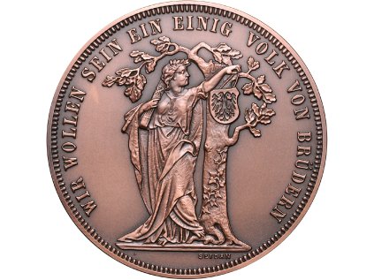 Měděná medaile Střelba Vídeň 1868/2024 velká A