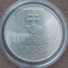 100SK1993VZNIKSR2