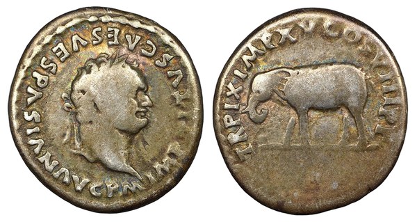 Titus, denár 80 n. l., Řím, rub slon