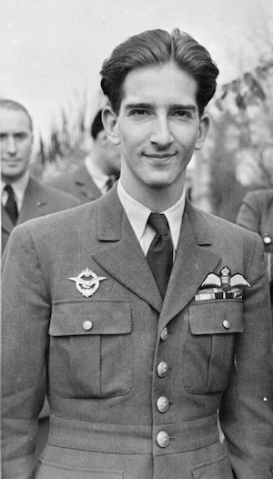 Portrét krále Petra II. Karađorđeviće v uniformě britského královského letectva