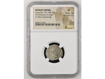 TN NGC8582716 003 OBV