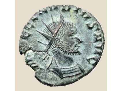 8276774 1769431421.l (1)