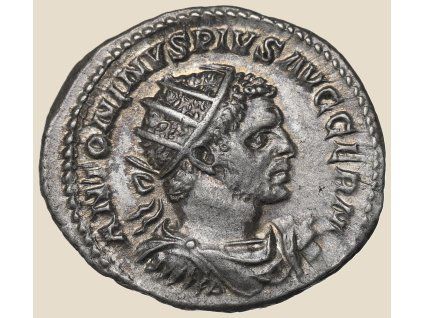 2957854 1b