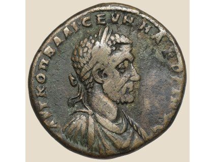 2951869 1b