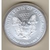 Spojené státy americké Stříbrná mince 1 Oz American Eagle 2013
