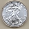 Spojené státy americké Stříbrná mince 1 Oz American Eagle 2013
